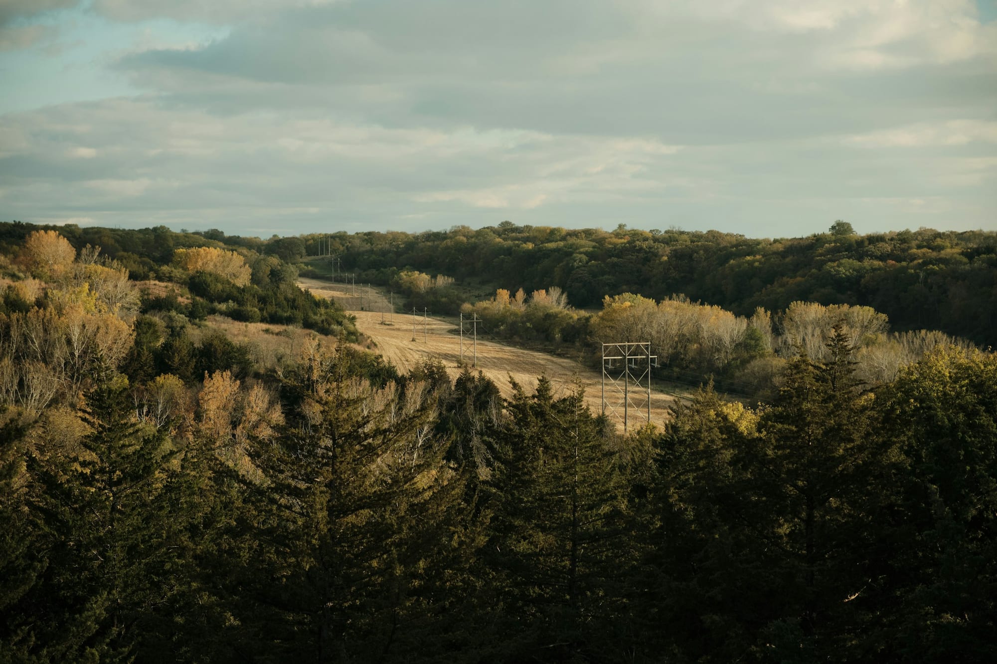 Transmission towers and conductors crossing open country at golden hour.
