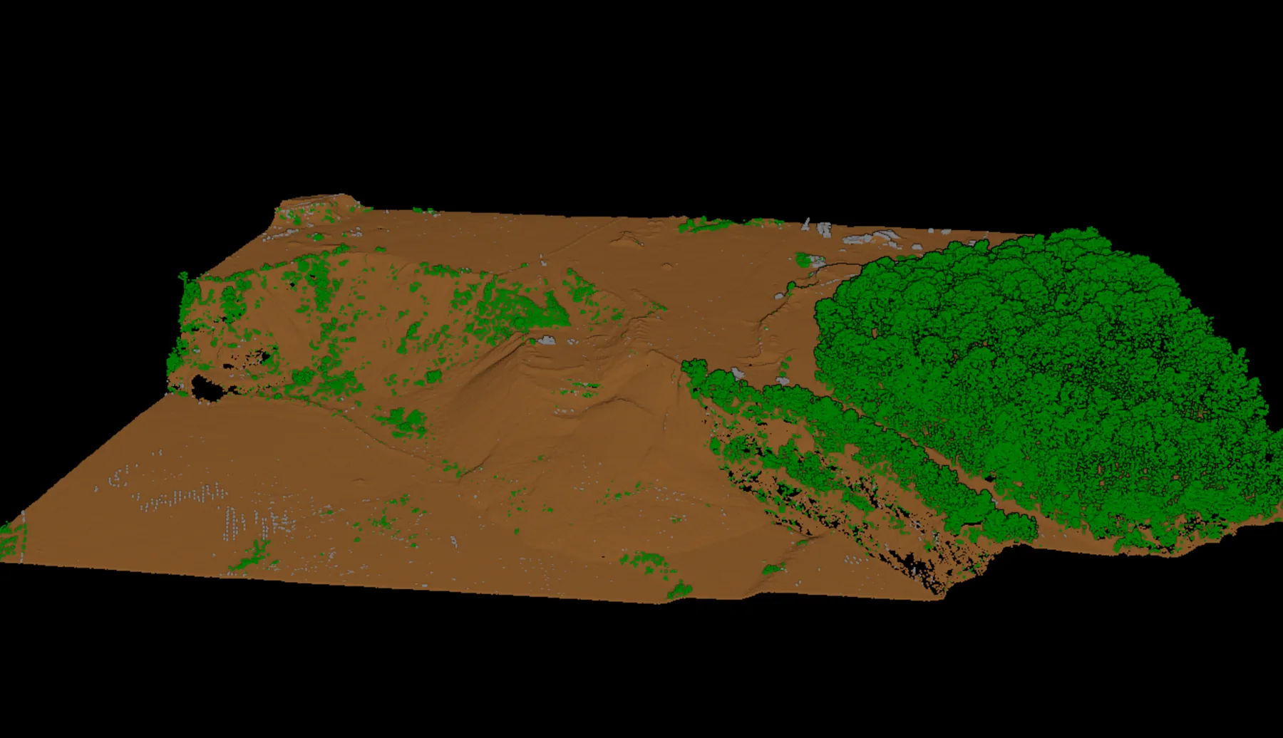 Classified terrain and vegetation point cloud output.
